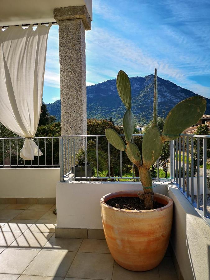 B&B Limone San Teodoro (Sardinia) Exterior foto